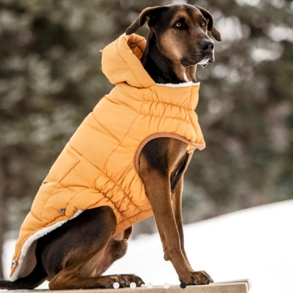 Dog coat 2pink And 2 Yellow hood 14to 18 inch neck Med. for your fur baby from